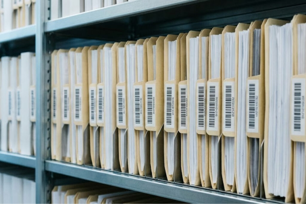 Traças em Arquivos e Bibliotecas: O inimigo silencioso dos documentos